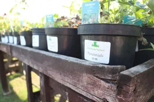 Plant Pot Outdoor Labels