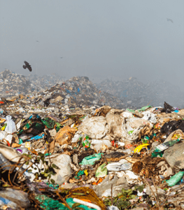 food waste in landfill