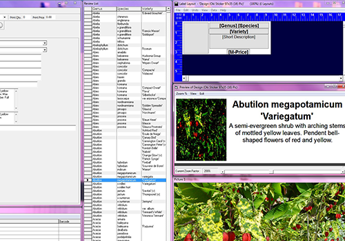 HLS Software Screenshot HLS Software Screenshot
