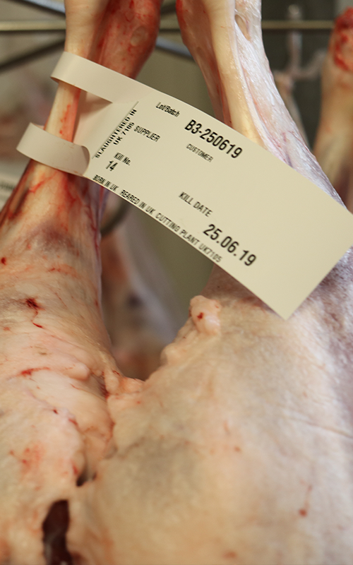 Carcass Tags Carcass Tags