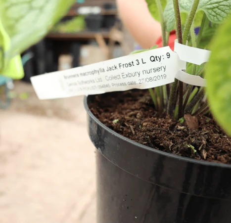 Labels on Trees and Plants