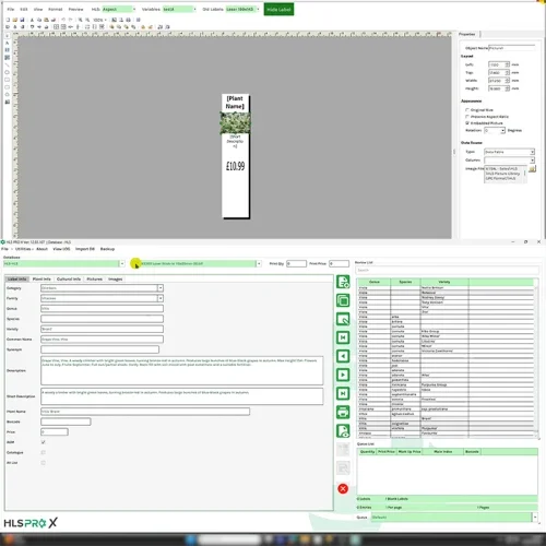 HLS Pro X Label Printing Software Screenshot 2