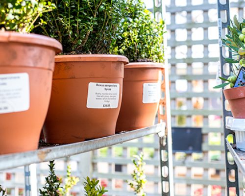 Self-Adhesive Labels Self-adhesive plant pot label